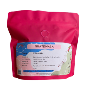 Guatemala El Patanillo (Best Coffee)